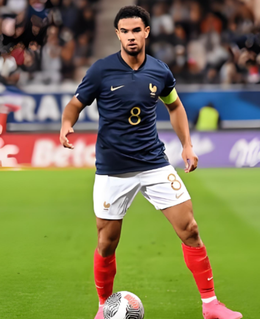 扎伊爾 - 埃梅里：困境中尋突破，目標(biāo)重返一線(xiàn)逐夢(mèng)世界杯