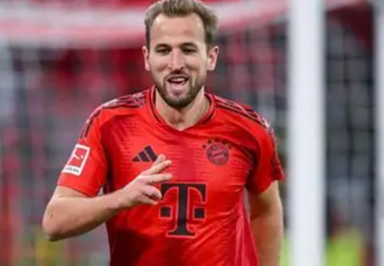 熱刺名宿瓦德爾談凱恩潛在轉(zhuǎn)會(huì)動(dòng)向